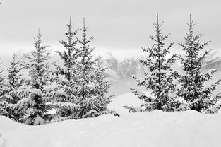 乐鱼体育下载-世界青少年滑雪比赛在崇山峻岭中顺利落幕,全国青少年滑雪锦标赛